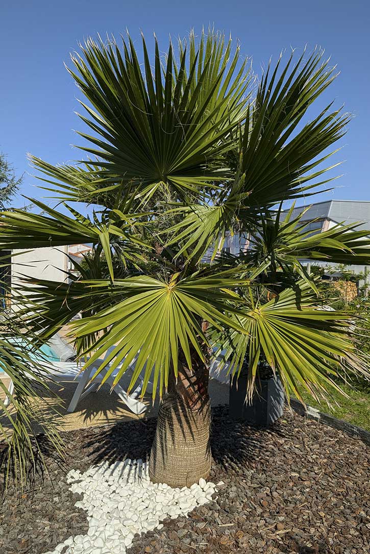 aménagement-jardin-la-rochelle