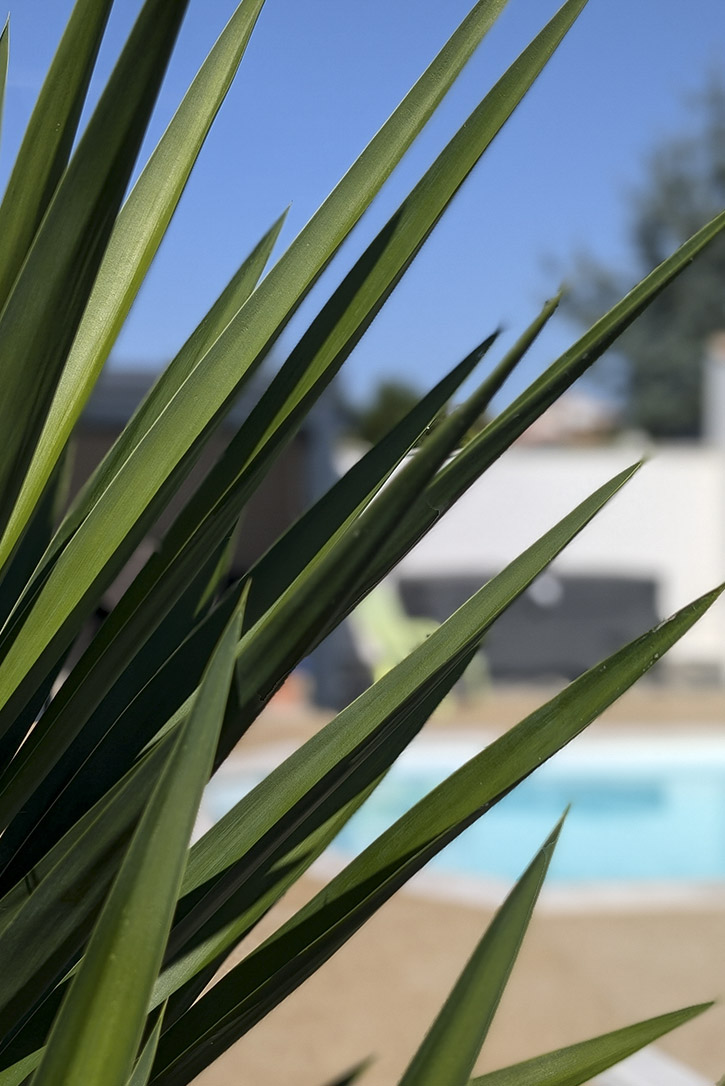 aménagement-jardin-la-rochelle