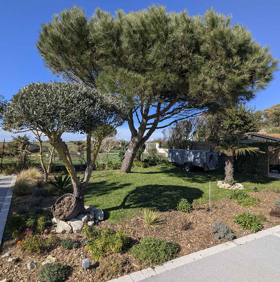 aménagement-jardin-la-rochelle