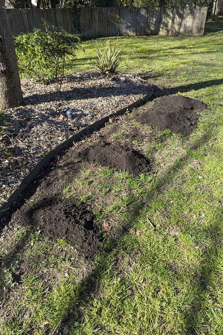 aménagement-jardin-la-rochelle